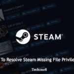 steam missing file privileges