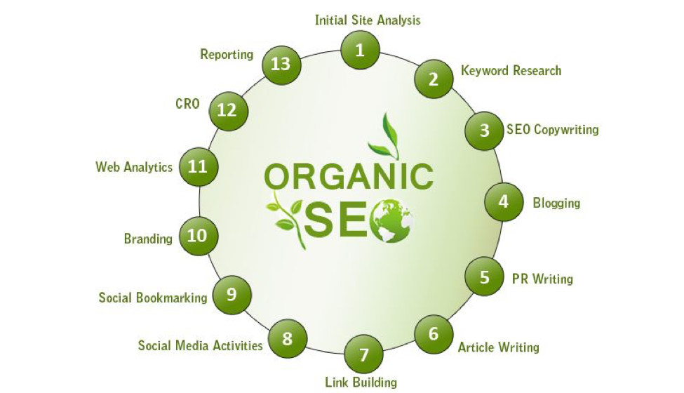 Everything You Need to Know About Organic SEO