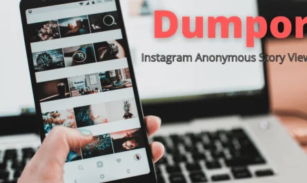 Dumpor, The Anonymous Instagram Story Viewer