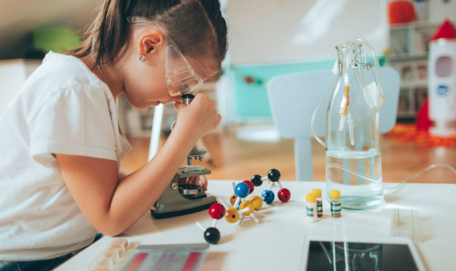The Importance Of Stem Education In Developing Skills