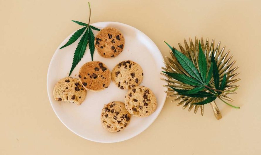 How Long Do Edibles Last? Continue Reading To Learn More